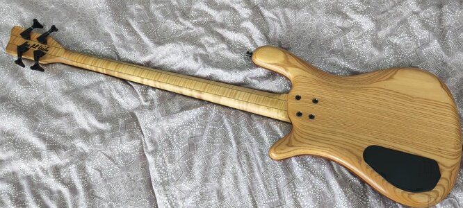 warwick_streamer_lx_ltd_2008-1742660208-509-e.jpg
