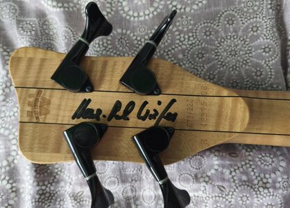 warwick_streamer_lx_ltd_2008-1742660210-611-e.jpg