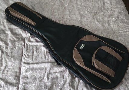warwick_streamer_lx_ltd_2008-1742660212-793-e.jpg