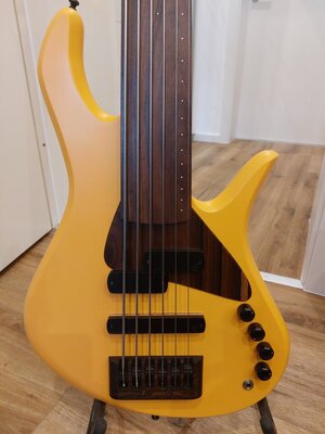 Verkaufe/Tausche Torillo Shevette 6 Fretless PJ