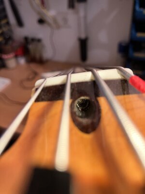 IMG_6103.jpeg