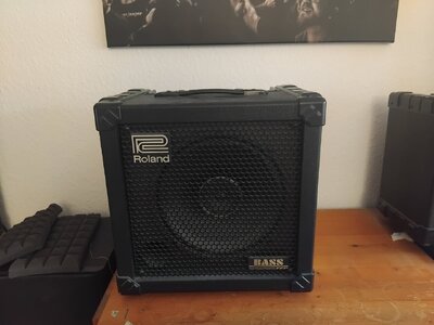 Roland Cube 30