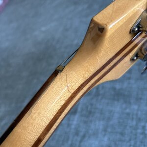 IMG_5751.JPEG