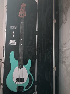 20250323_200123.jpg