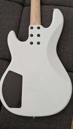 G&L6.jpeg