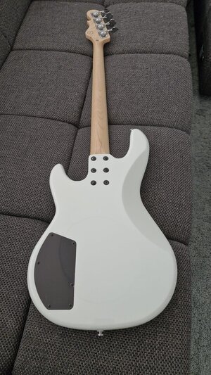 G&L5.jpeg