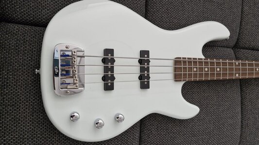G&L2.jpeg