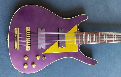 Musicvox MOMO MI 8-String