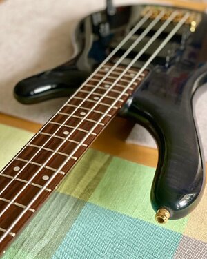 IMG_3595.jpeg