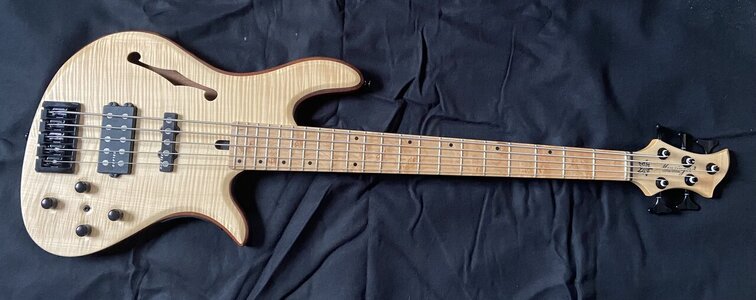 Mensinger The Leaf 5string