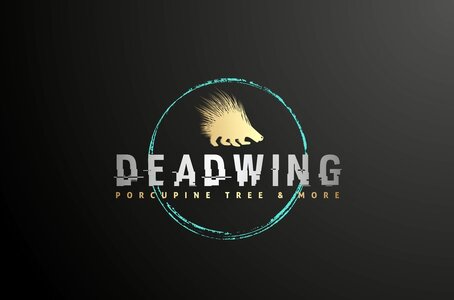 Porcupine Tree Coverband sucht Sänger