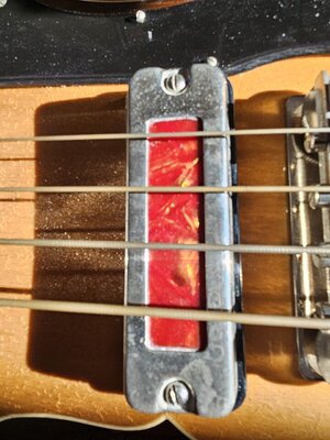20250218_122734.jpg