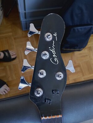 Lined fretless Hals Godin A5 Preis VB. (Korpus Verkauft)