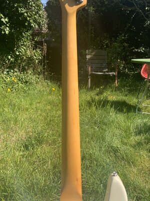 IMG_4774.jpeg