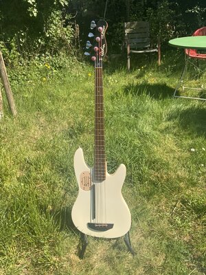 Godin Bass LR Baggs,  fretted,