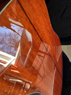 IMG_7982.jpeg