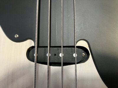 IMG_2045.jpeg