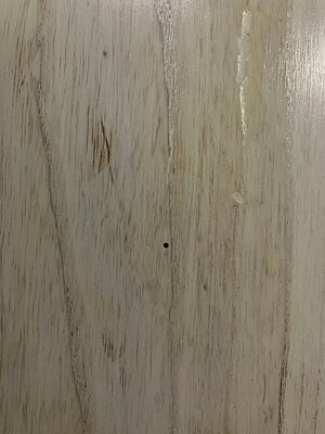 IMG_2049.jpeg