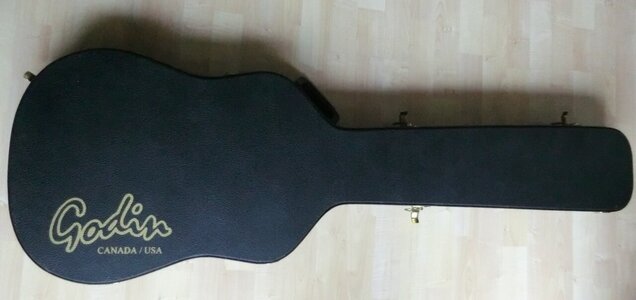 Godin_A5_02.JPG