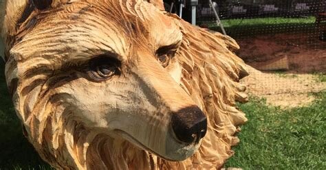 downloadfile (2).jpg