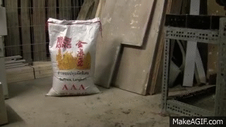 1000050224.gif