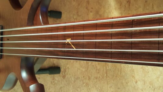 Kraushaar Fretless 5