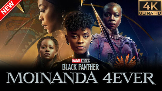 black panther2231_4.jpg