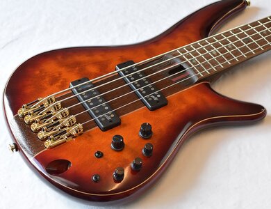 Suche Ibanez Soundgear SR2405W