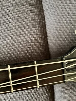 IMG_6086.jpeg