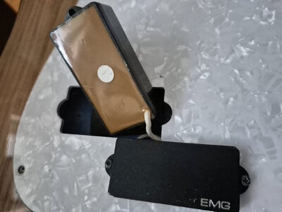 emg.jpg