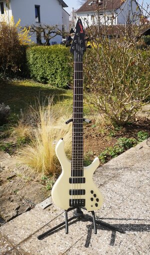 SKC Bogart 5 Saiter