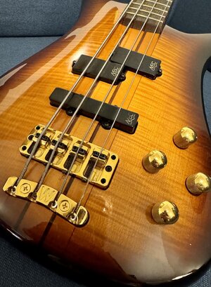 Warwick Streamer Stage 1 - Verkauf oder Tausch