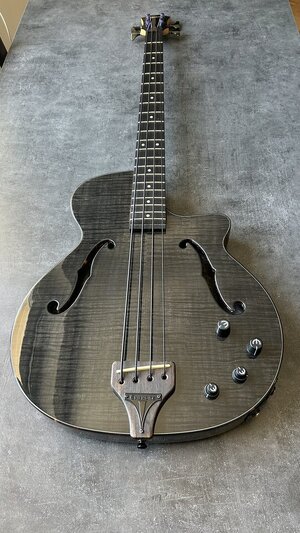 Epiphone Zenith fretted semihollow piezo + magnetic