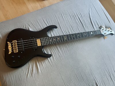 Alembic Europa 5 Piano Black