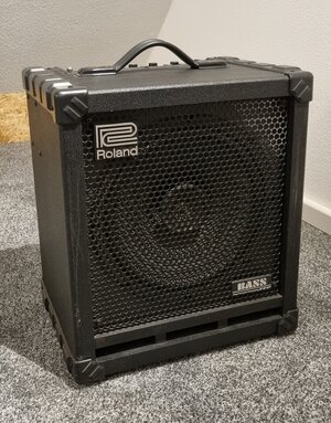 Roland Cube 100