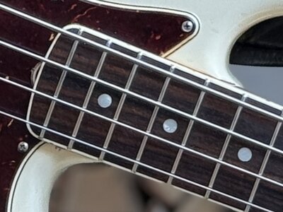 [SUCHE/TAUSCHE] De Gier Bebop 4 oder Soulmate Classic