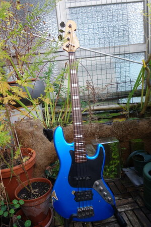 DSC02444.JPG