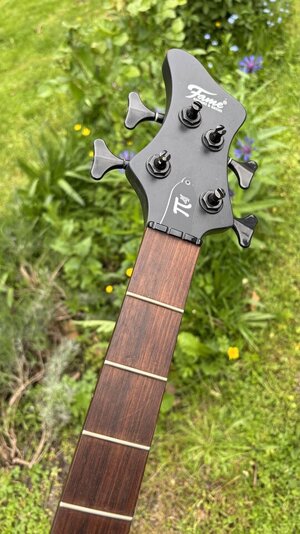 Fame Pi 4 Transparent Black Neck ~ Wojteck Pilichowski ~