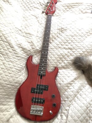 Yamaha BB1000S