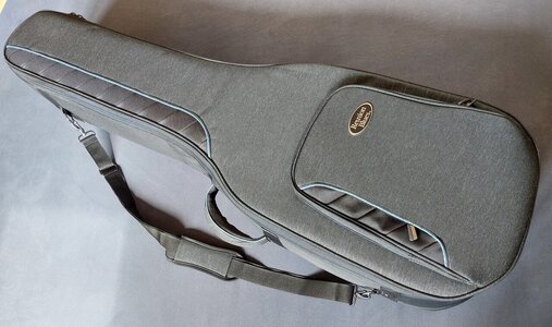 Reunion Blues Continental Voyager - Double Bass Bag *neuwertig*