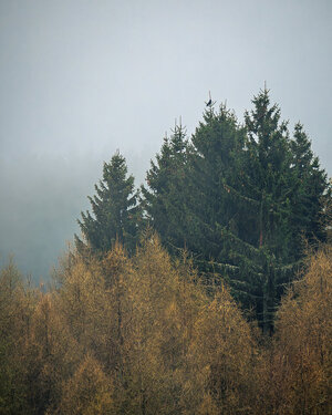 PANA8126-Enhanced-NR.jpg