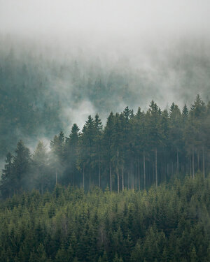 PANA8190-Enhanced-NR.jpg