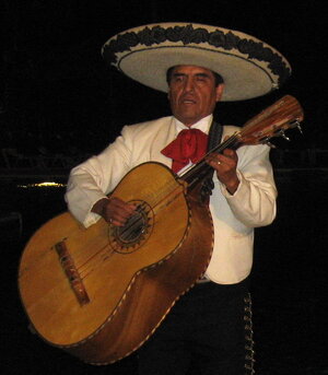 AcousticBassGtr.jpg