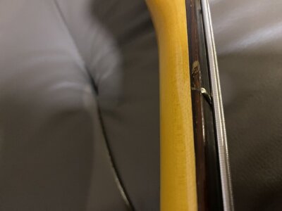 IMG_4708.jpeg