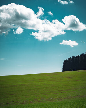 PANA8360-Enhanced-NR.jpg