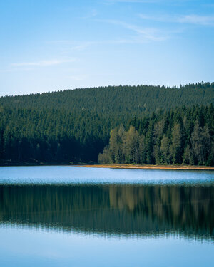 PANA8313-Enhanced-NR.jpg