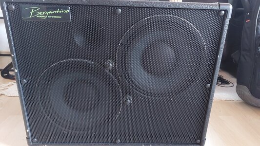Bergantino AE210