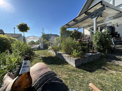 IMG_4284.jpeg