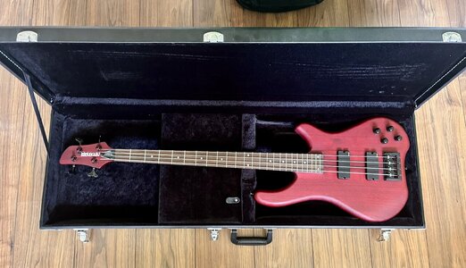Fernandes Tremor Deluxe