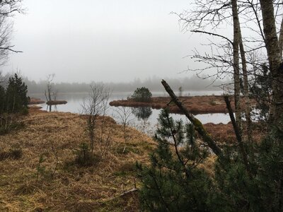IMG_9399.JPEG